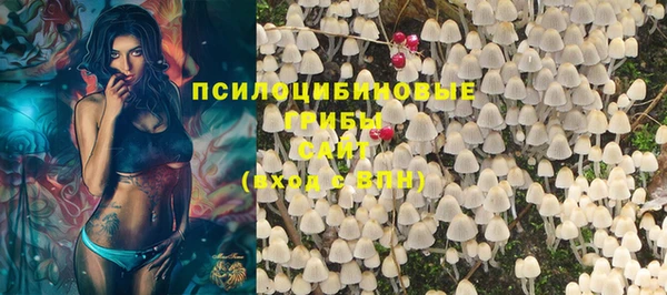 тгк Новокубанск